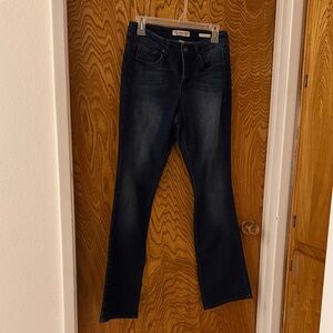 Vintage American Blues Women's Jeans size 2/26 Boho Bootcut